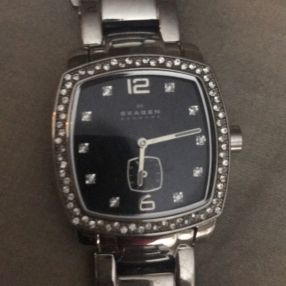Skagen Debmark Watch
